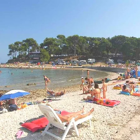 Snjezana